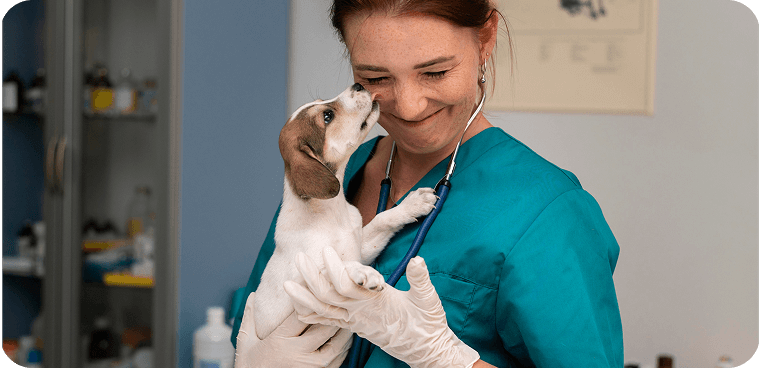veterinary invetory managemeny