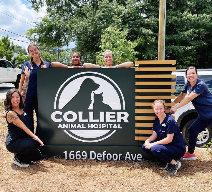 Collier Animal Hospital team